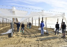 Diversi i tecnici presenti, fra questi Terremerse, che ha collaborato nella progettazione, i tecnici di Jingold, Europfruit e di Agrotecnica