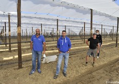 Riccardo Costa, Andrea Morelli, Paolo Zoli e Martino Marin