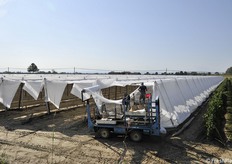 Allestimento testate