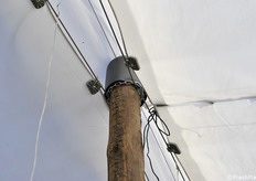 Particolare del camino di protezione e degli ancoraggi 