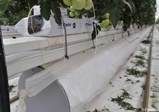 Condotti per l'anidride carbonica e l'areazione