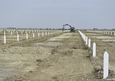 Lavori in corso nei 10 ettari che saranno in produzione nel 2022