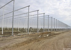 Lavori in corso nei 10 ettari che saranno in produzione nel 2021