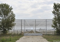 Altra veduta della serra in costruzione