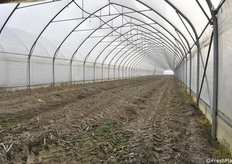 l'interno di un'altra serra