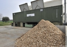 Il cippato per il bruciatore: il terreno è riscaldato da serpentine con acqua calda 