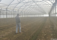 Una serra con elevata umidità relativa