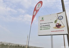 Il 18 giugno 2021 si è svolta a Portomaggiore di Ferrara la giornata dimostrativa della Salvi Vivai (fotoservizio Cristiano Riciputi)
