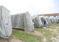 L'impianto superintensivo