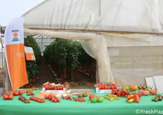 L'open day organizzato da KWS Vegetables Italia e tenutosi lo scorso 23 giugno 2021 presso l'azienda agricola Falcone di Fondi (Latina) ha rappresentato il primo evento ufficiale dell'azienda dopo l'acquisizione di Geneplanta, che da anni opera nell'ambito del miglioramento genetico delle orticole professionali.