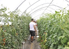 Le visite si sono tenute sia al mattino che al pomeriggio e proseguiranno fino al 2 luglio su prenotazione