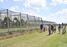 Il ceraseto sperimentale