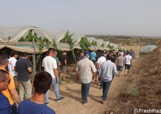 Il folto gruppo raggiunge il vigneto