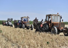 Raccolta in un appezzamento di 12 ettari