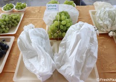 Uva insacchettata in cellulosa