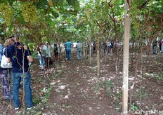 Un momento durante la visita in campo