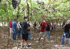 Un momento durante la visita in campo