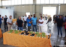 Grande interesse di pubblico per la mostra pomologica