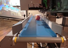 Dettaglio del nastro trasportatore