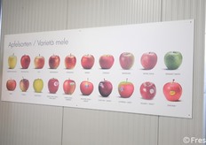 Il catalogo delle mele.