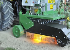 Un particolare del pirodiserbo