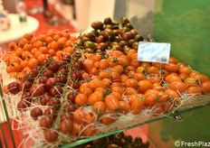 Un esempio della gamma varietale di pomodorini selezionati dalla TSI Italia.