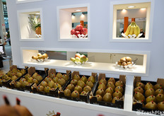 Un angolo dello stand Spreafico.