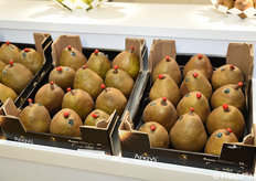 Pere Angys presso lo stand Spreafico.