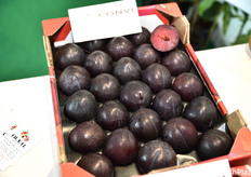 Susine aromatiche a polpa rossa Marcò.