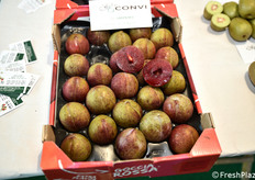 Susine croccanti e gustose a polpa rossa Green Red.