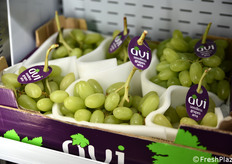 Dettaglio della Arra 30.