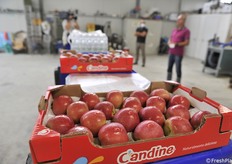 Il 16 settembre 2021 Apofruit ha organizzato una giornata in campo per spiegare ai propri soci le caratteristiche della nuova mela. Presenti oltre 50 agricoltori, la visita si è svolta su due aziende: Marconi (integrato) e Benzoni (biologico) entrambe in provincia di Ravenna.