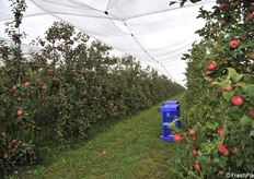 Impianto coperto con monoblocco