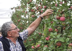 La Candine ha destato notevole interesse
