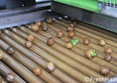 Continua il processo di lavorazione post smallatura