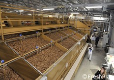 Fase di essiccazione