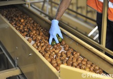 Altra fase del controllo qualità