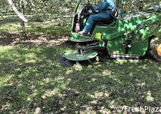 Macchina per la raccolta