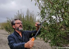 Vito Vitelli mostra una tecnica di potatura