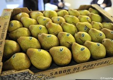 Pere Rocha dal Portogallo