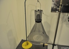 Una trappola che sfrutta i feromoni