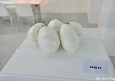 La melanzana bianca Gaia