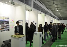 Progetti per recupero di vecchie strutture abbandonate in città, recupero tramite l'uso a fini agricoli come coltivazione di orticole