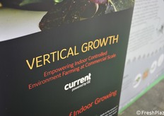 In crescita la richiesta di tecnologie per la Vertical Growth