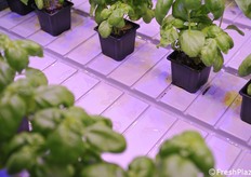 Il sistema per lo scorrimento dell'acqua