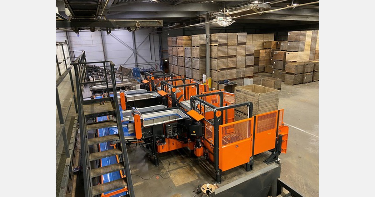 Azienda olandese di lavorazione patate installa una linea completa per lo svuotamento dei bins