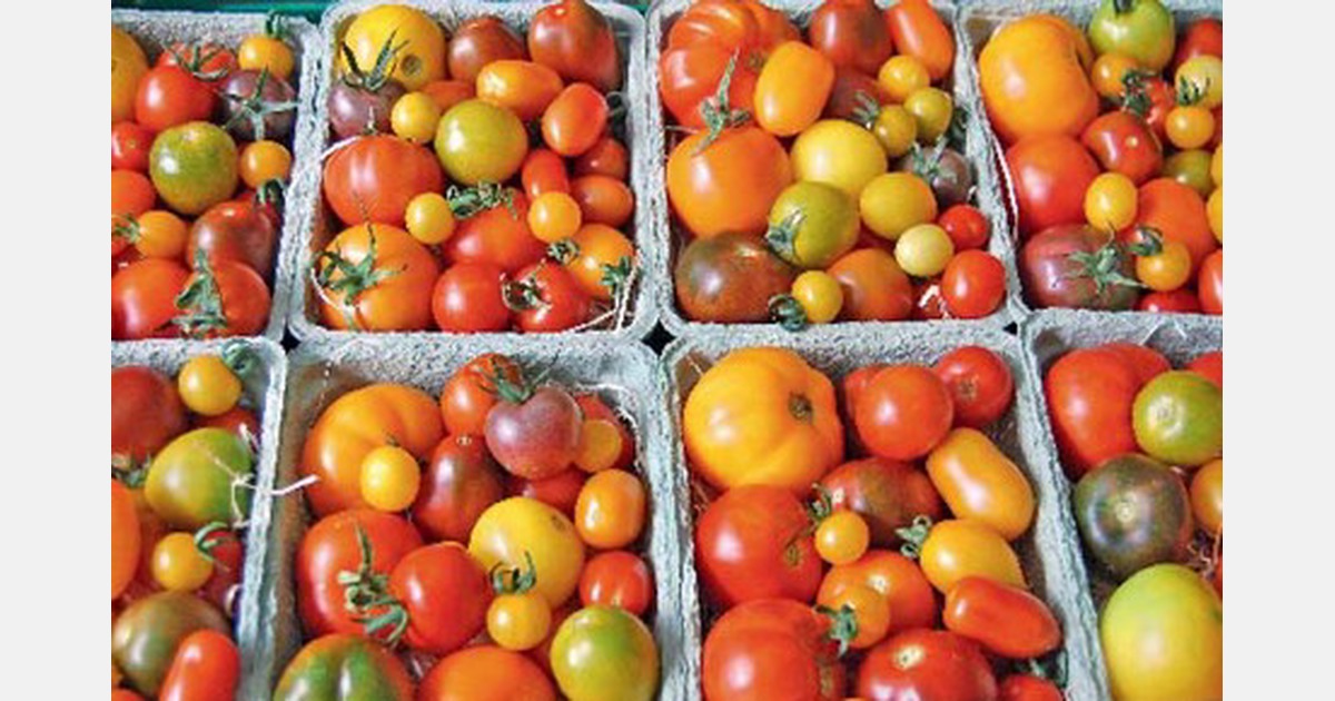 Semi Di Cetriolo Semi Di Verdure 12159 - Italia