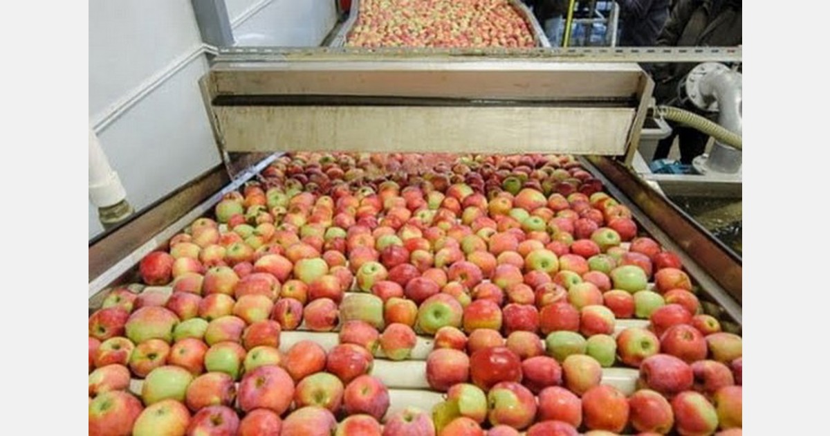 B&B Frutta — Produzione e esportazione Mele fresche