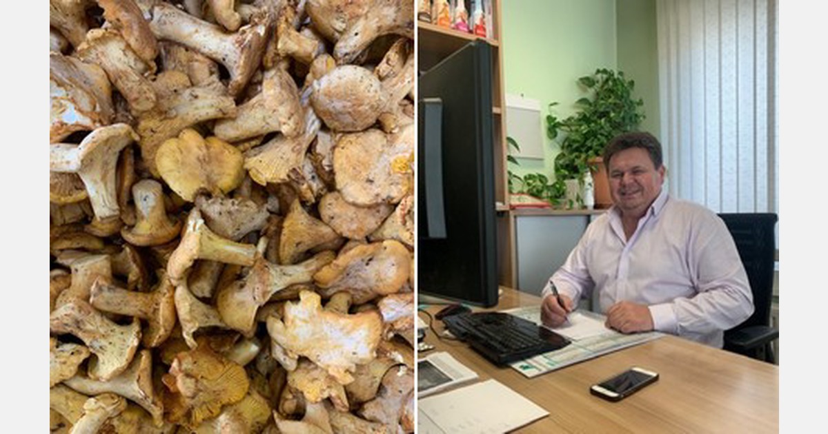 “Both catering and trade occupy the first Serbian chanterelles