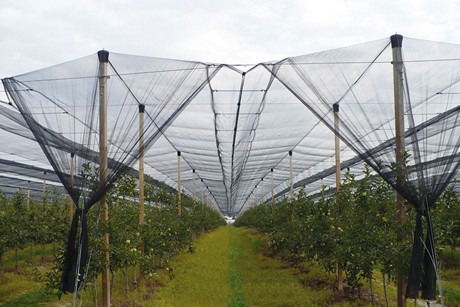 Abbeveratoio Per Conigli In Ferro Zincato - Portabottiglia Antiruggine - Foto 13
